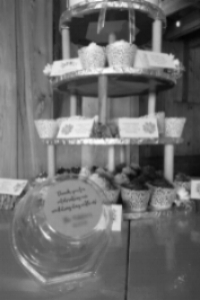  Cupcake Containers at Zyntango Farm 